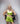 Serene Silk Lounge Shorts (Chartreuse) LOKA.HAUS