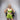 Serene Silk Lounge Shorts (Chartreuse) LOKA.HAUS