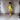 Luxe Serenity Silk Robe (Chartreuse) LOKA.HAUS