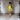Luxe Serenity Silk Robe (Chartreuse) LOKA.HAUS