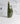 Stoneware Olive Oil Bottle | Canard 34oz