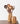 Teak Utensil Holder
