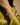 The Loma Gold Bangle - LOKA.HAUS