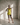 The Vela Silk Short - LOKA.HAUS